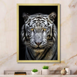 Fierce White Tiger II - Animals Canvas Wall Art