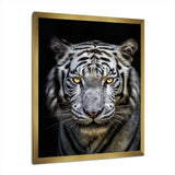 Fierce White Tiger II - Animals Canvas Wall Art