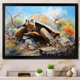 Turtle On Land I - Animals Canvas Wall Art