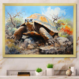 Turtle On Land I - Animals Canvas Wall Art