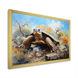 Turtle On Land I - Animals Canvas Wall Art