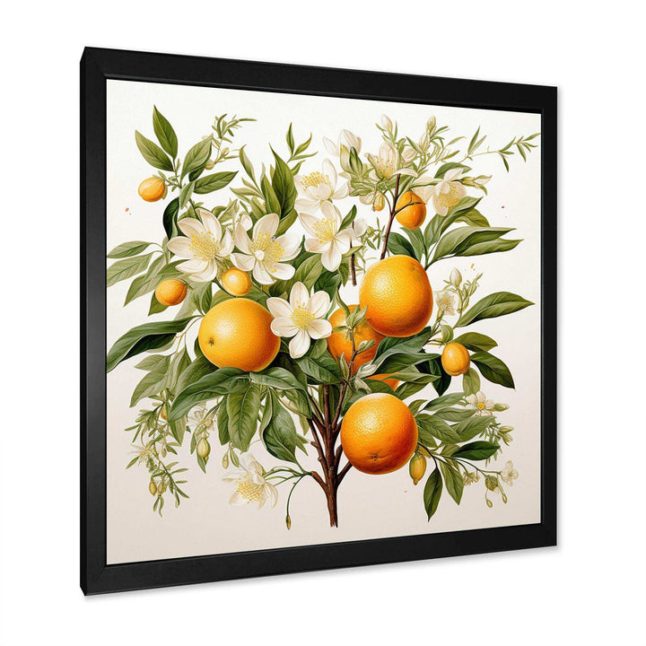 Orange Tree - Food &amp; Beverage Canvas Wall Art