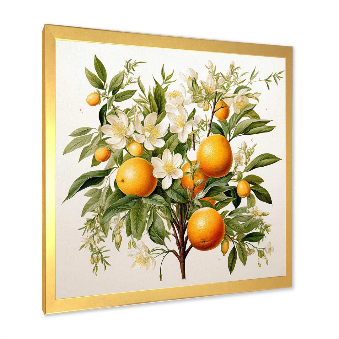 Orange Tree - Food &amp; Beverage Canvas Wall Art