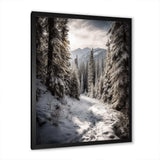 Frosty Snow Forest Path II - Landscapes Canvas Wall Art