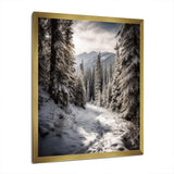 Frosty Snow Forest Path II - Landscapes Canvas Wall Art