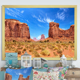 Arizona Sonoran Serenade Desert I - Landscapes Canvas Wall Art