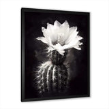 Black White Cactus Minimal Collage - Floral Canvas Wall Art