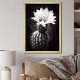 Black White Cactus Minimal Collage - Floral Canvas Wall Art