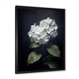 Black White Blooms Of Hydrangea - Floral Canvas Wall Art