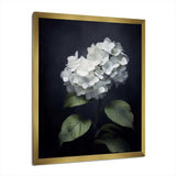 Black White Blooms Of Hydrangea - Floral Canvas Wall Art