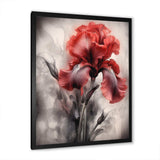 Red Black Iris Petal II - Floral Canvas Wall Art