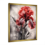 Red Black Iris Petal II - Floral Canvas Wall Art