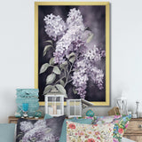 Purple Green Lilacs Fragrants Blossum - Floral Canvas Wall Art