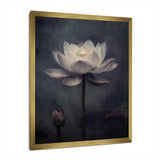 Grey Monochrome Lotus Symphony III - Floral Canvas Wall Art