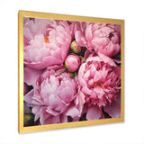 Pink Green Peony Captivating II - Floral Canvas Wall Art