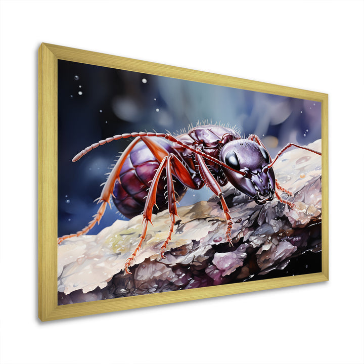 Enchanted Microcosm Amethyst Ant - Ant Framed Canvas Art