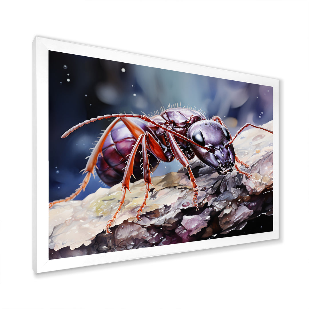 Enchanted Microcosm Amethyst Ant - Ant Framed Canvas Art