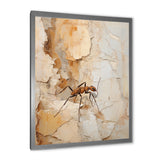 Minimalism Ant Beige Collage - Ant Framed Canvas Art