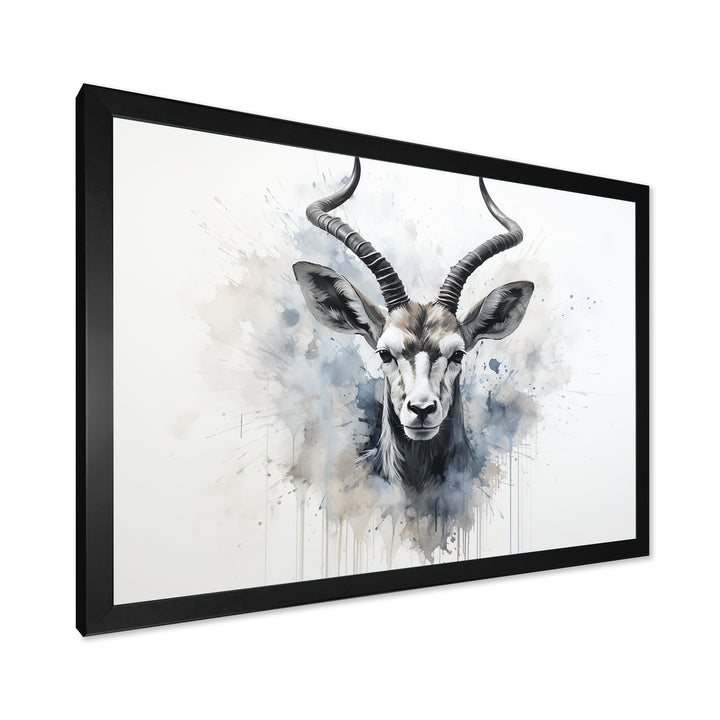 Minimalism Black And White Antelope Ibex - Antelope Wall Decor