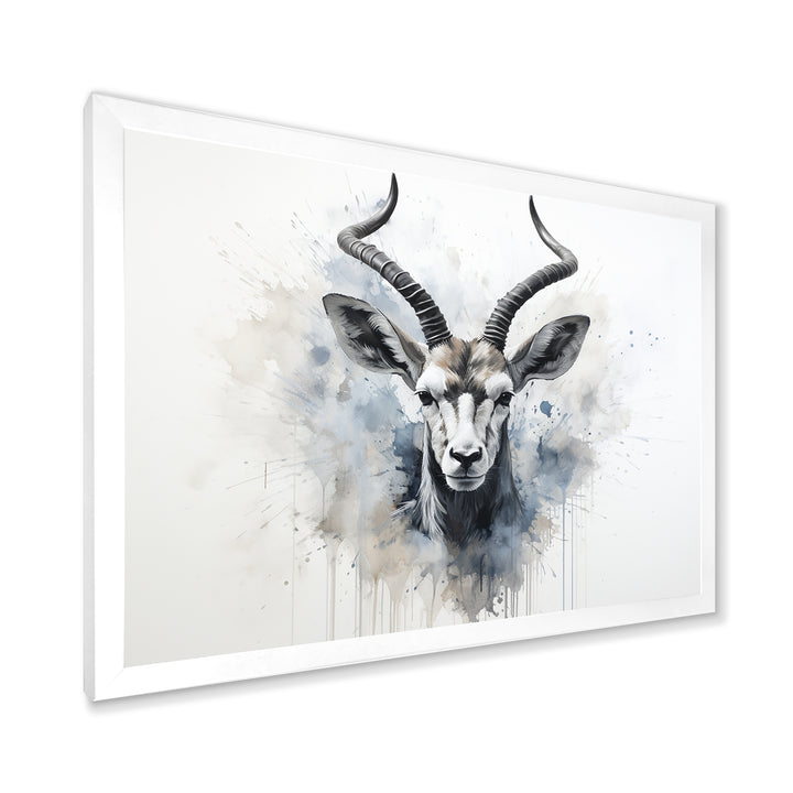 Minimalism Black And White Antelope Ibex - Antelope Wall Decor
