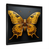 Butterfly Expressionist Freedom - Butterfly Wall Art Prints