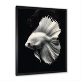 Golden Glint And Graphite A Butterflyfish - Butterfly Fish Wall Decor