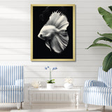 Golden Glint And Graphite A Butterflyfish - Butterfly Fish Wall Decor