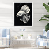 Golden Glint And Graphite A Butterflyfish - Butterfly Fish Wall Decor
