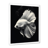 Golden Glint And Graphite A Butterflyfish - Butterfly Fish Wall Decor