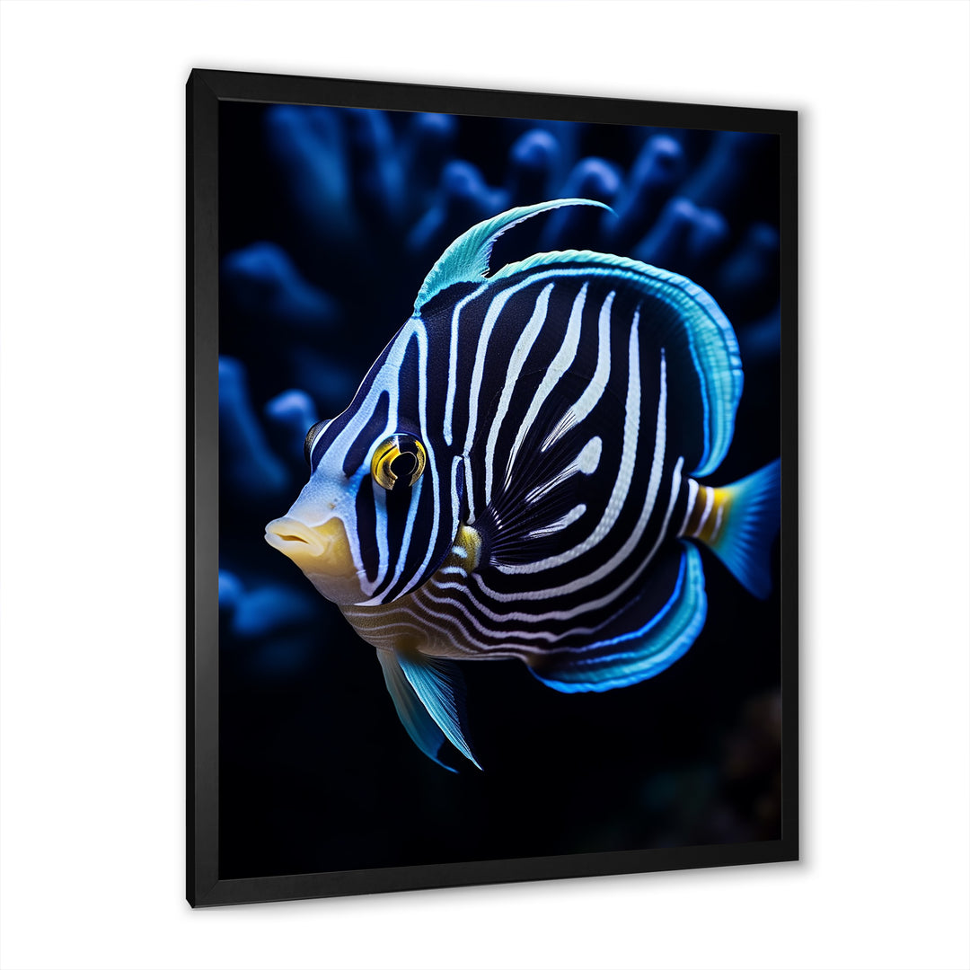 Coral Butterflyfish Indigo Intensity And Ivory - Butterfly Fish Wall Art Prints