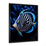Coral Butterflyfish Indigo Intensity And Ivory - Butterfly Fish Wall Art Prints