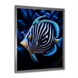 Coral Butterflyfish Indigo Intensity And Ivory - Butterfly Fish Wall Art Prints