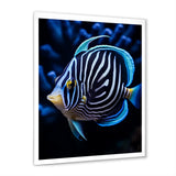 Coral Butterflyfish Indigo Intensity And Ivory - Butterfly Fish Wall Art Prints