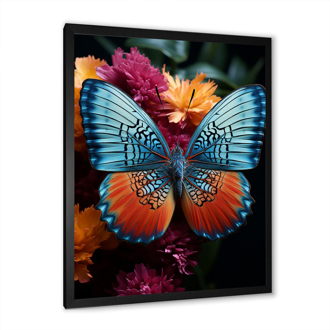 Butterfly Pearl Patterns And Plum - Butterfly Wall Art Prints