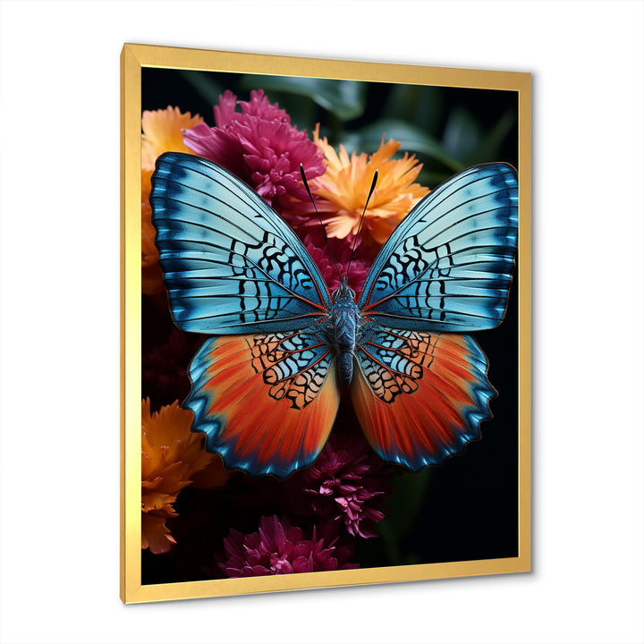 Butterfly Pearl Patterns And Plum - Butterfly Wall Art Prints