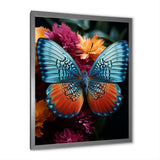 Butterfly Pearl Patterns And Plum - Butterfly Wall Art Prints