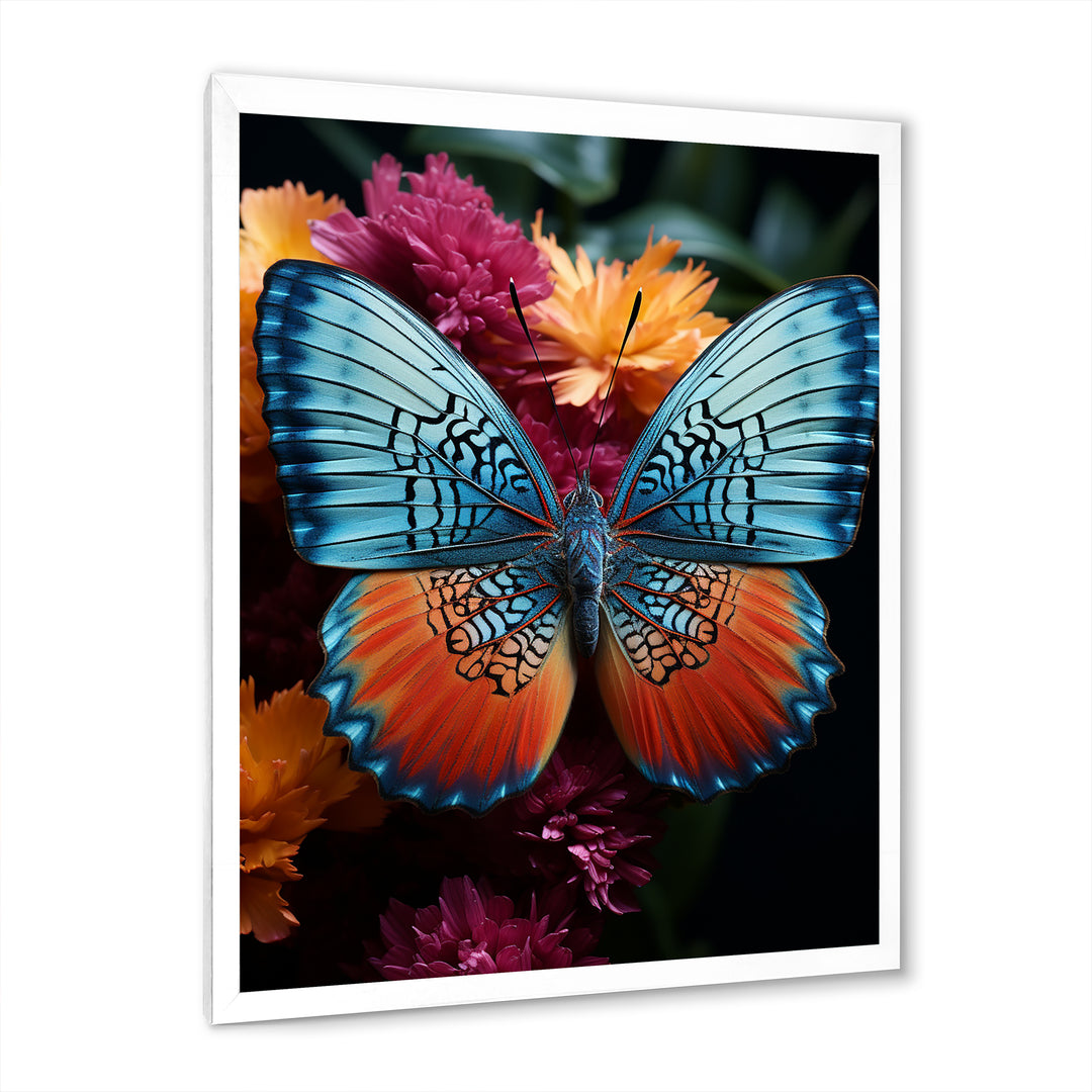Butterfly Pearl Patterns And Plum - Butterfly Wall Art Prints