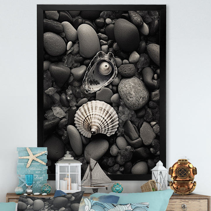 Monochrome Seashells &amp; Stones - Gray Seashell Wall Art