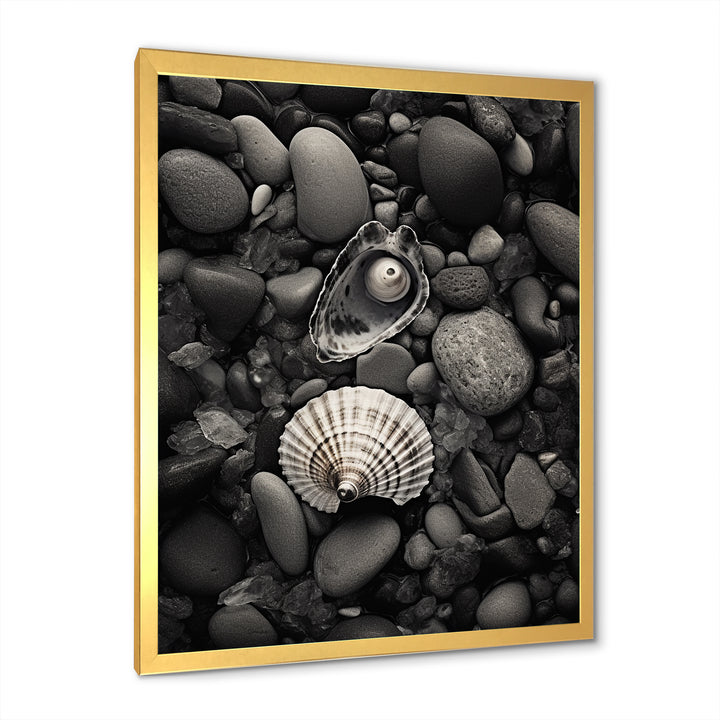 Monochrome Seashells &amp; Stones - Gray Seashell Wall Art