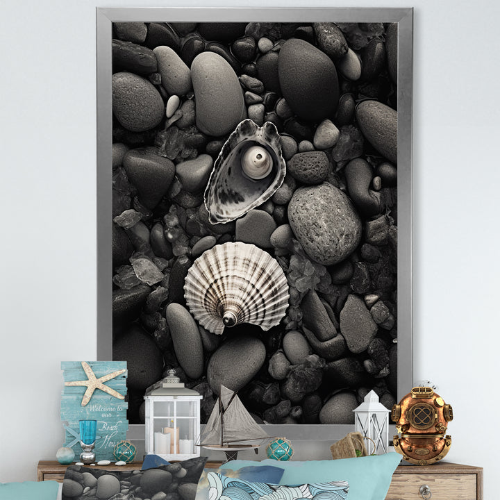 Monochrome Seashells &amp; Stones - Gray Seashell Wall Art