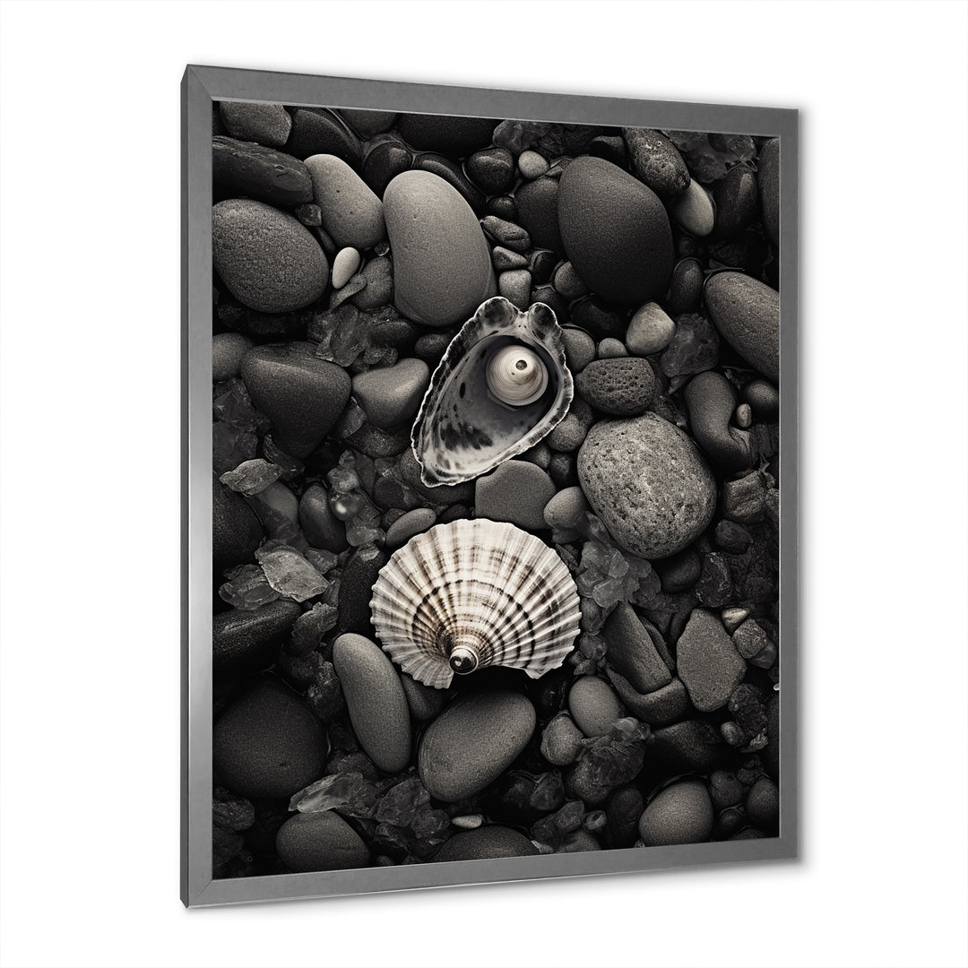 Monochrome Seashells &amp; Stones - Gray Seashell Wall Art