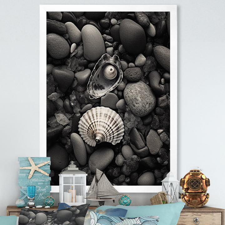 Monochrome Seashells &amp; Stones - Gray Seashell Wall Art