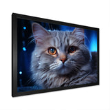 Blue British Shorthair Majesty Cat - Cat Framed Canvas Art