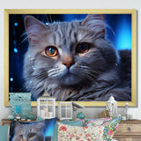 Blue British Shorthair Majesty Cat - Cat Framed Canvas Art