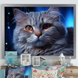 Blue British Shorthair Majesty Cat - Cat Framed Canvas Art