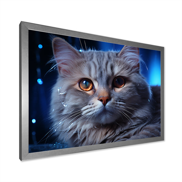 Blue British Shorthair Majesty Cat - Cat Framed Canvas Art