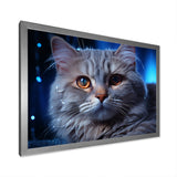 Blue British Shorthair Majesty Cat - Cat Framed Canvas Art