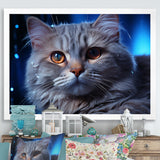 Blue British Shorthair Majesty Cat - Cat Framed Canvas Art