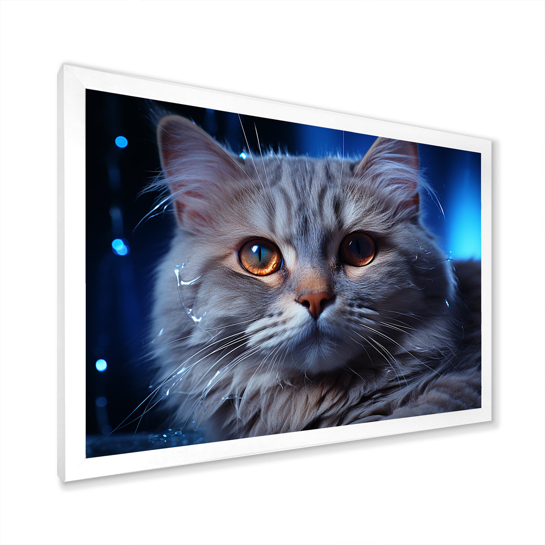 Blue British Shorthair Majesty Cat - Cat Framed Canvas Art