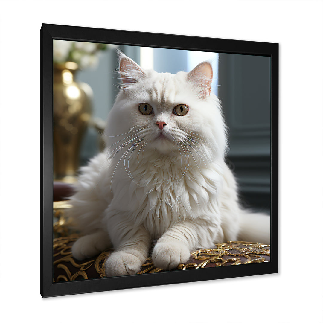 Exotic Shorthair Elegance Cat - Cat Wall Art Prints